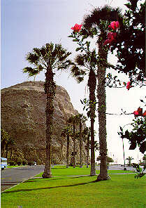 Historic Morro de Arica in the north